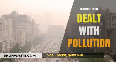 China's Pollution Battle: Strategies and Successes