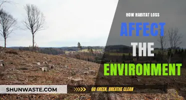 Habitat Loss: Devastating Impacts on Ecosystems and Environmental Balance
