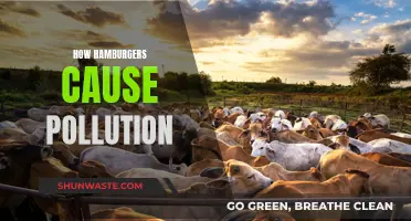 The Environmental Impact: How Hamburgers Contribute to Pollution