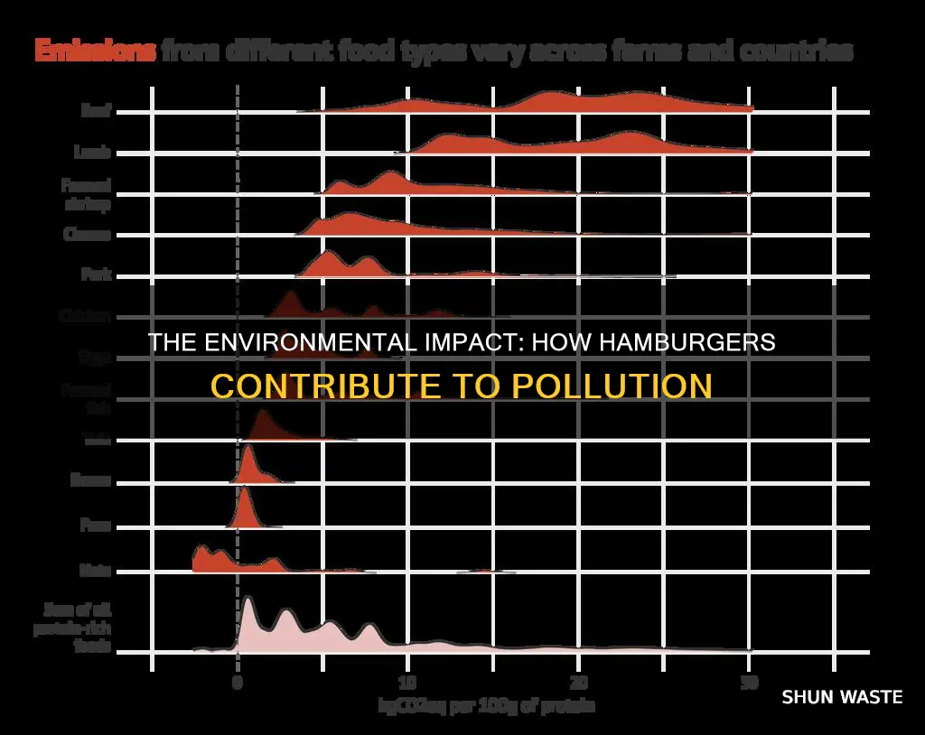 how hamburgers cause pollution