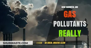 Gas Pollutants: Harmful Impact on Our Health and Environment