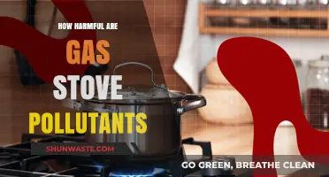 Gas Stove Pollution: A Health Hazard in Your Home