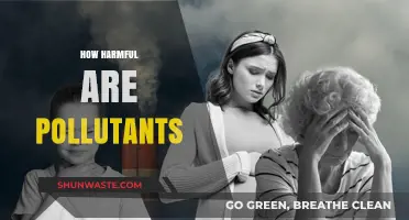 The Toxic Truth: Pollutants' Harmful Impact