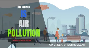 Air Pollution: A Harmful, Invisible Threat