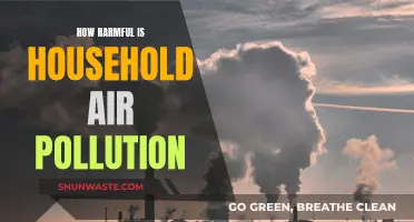 The Silent Killer: Household Air Pollution's Harm