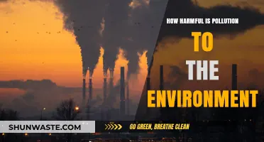 The Dark Side of Pollution: Harming Our Environment