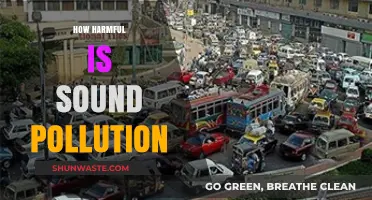 Sound Pollution: A Harmful, Hidden Danger