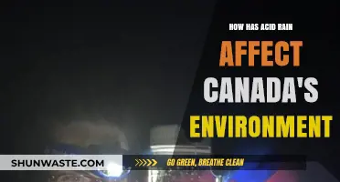 Acid Rain's Impact on Canada's Environment: Challenges and Solutions