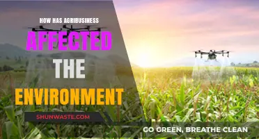 Agribusiness Impact: Environmental Consequences and Sustainable Solutions Explored