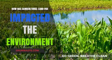 Agricultural Land Use: Environmental Impacts and Sustainable Solutions