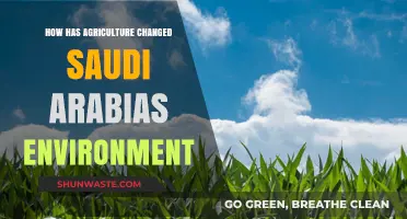 Agriculture's Impact: Transforming Saudi Arabia's Environment and Landscape