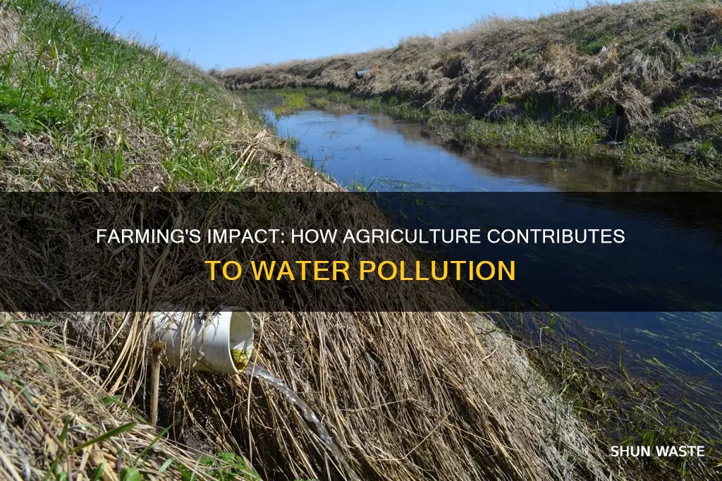 how has agriculture contributed to water pollution