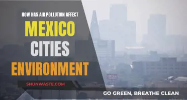 Air Pollution's Impact on Mexico City's Environment