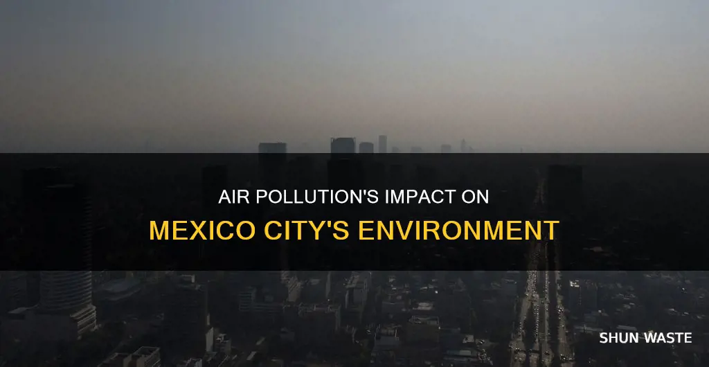 how has air pollution affect mexico cities environment