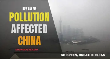 Air Pollution's Impact on China's Environment and People