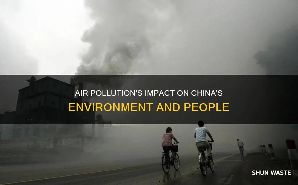 how has air pollution affected china