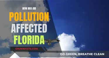 Air Pollution's Impact on Florida: A Troubling Reality