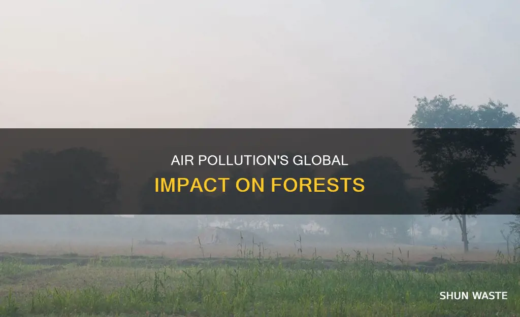 how has air pollution affected forests throughout the world