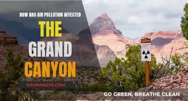 Air Pollution's Impact on the Grand Canyon's Environment