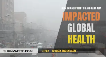 Air Pollution's Impact on East Asia's Health