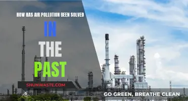 Air Pollution Solutions: Learning from Past Successes