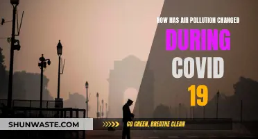 Air Pollution During COVID-19: A Global Snapshot