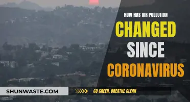 Air Pollution: Post-Pandemic Changes and Effects
