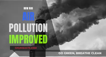 Air Pollution: A Brighter Outlook and Cleaner Future