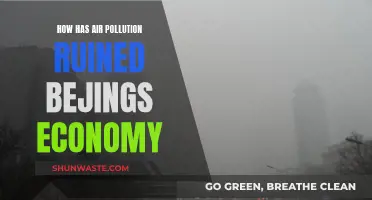 Beijing's Economy: Stifled by Air Pollution