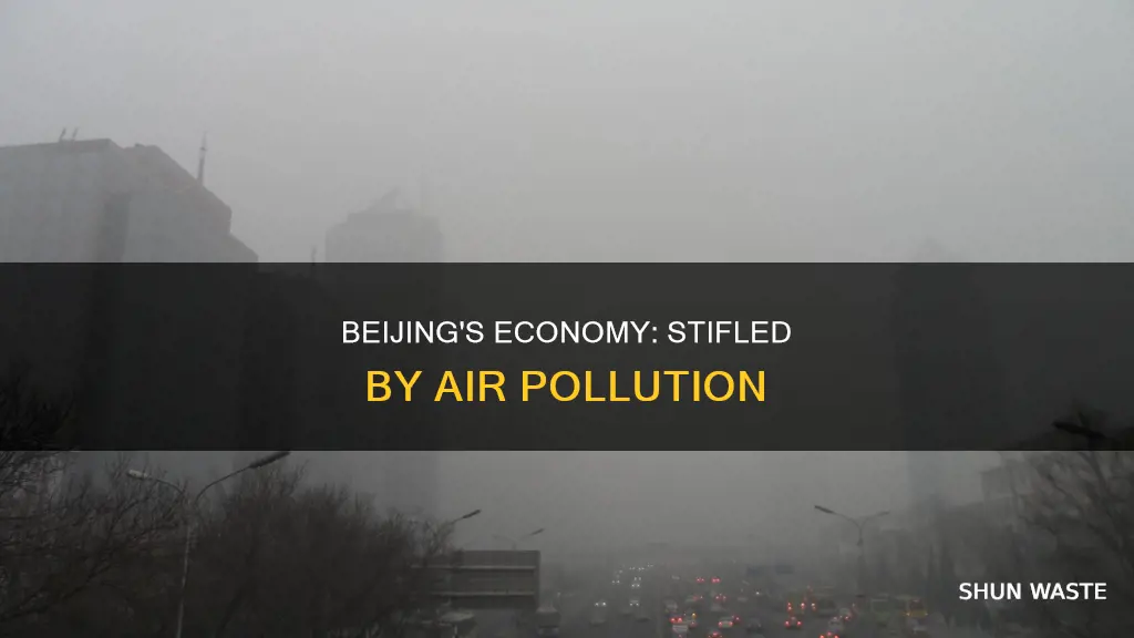 how has air pollution ruined bejings economy