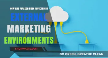 Amazon's Resilience: Navigating External Marketing Environments and Their Impact