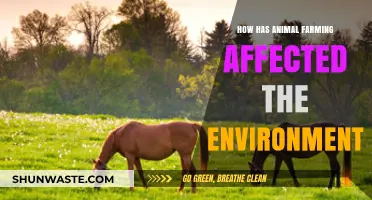 Animal Farming's Environmental Impact: A Growing Concern for Our Planet