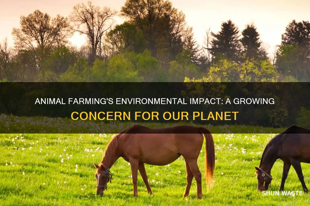 how has animal farming affected the environment