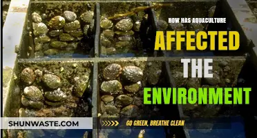 Aquaculture's Environmental Impact: Challenges, Solutions, and Sustainability Efforts