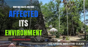 Bali's Cultural Traditions: Shaping the Island's Environment and Sustainability