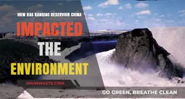 Banqiao Reservoir's Environmental Impact: Lessons from China's Ecological Crisis