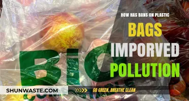 Plastic Bag Bans: Reducing Pollution, One Step at a Time