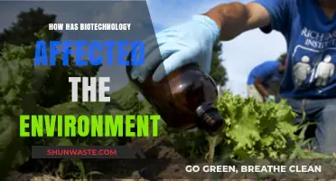 Biotechnology's Environmental Impact: Innovations, Challenges, and Sustainable Solutions