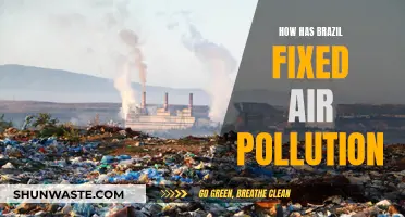 Brazil's Air Pollution: Strategies for Success