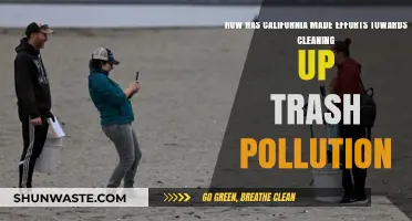 California's War on Trash: Cleaning Up the Golden State