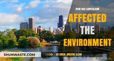 Capitalism's Environmental Impact: A Critical Analysis of Ecological Consequences