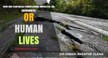 Centralia's Environmental Legacy: A Town's Impact on Nature and Humanity