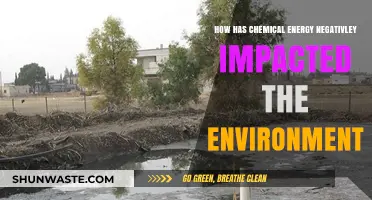 Chemical Energy's Dark Side: Environmental Degradation and Pollution Crisis