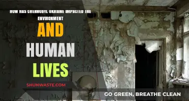 Chernobyl's Legacy: Environmental and Human Impact in Ukraine