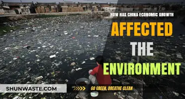 China's Economic Boom: Environmental Costs and Sustainability Challenges