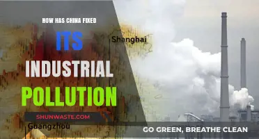 China's Industrial Pollution: Strategies for Success