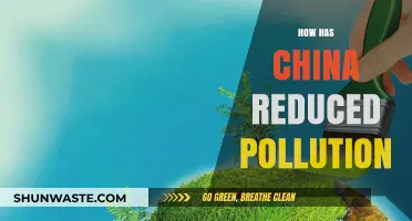 China's Pollution Reduction: Strategies and Successes