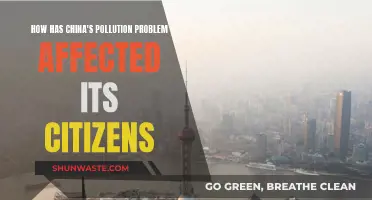 China's Pollution Crisis: Harming Its Own People