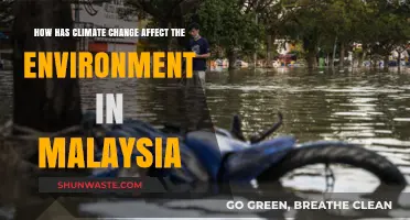 Malaysia's Environment in Crisis: Climate Change Impacts and Challenges