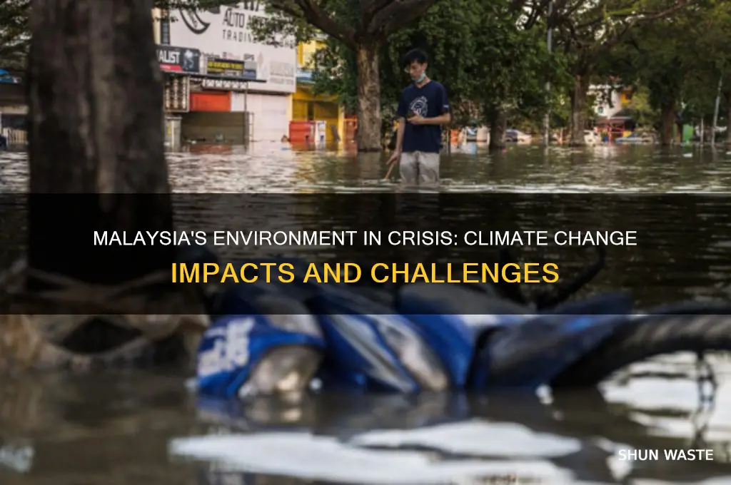 how has climate change affect the environment in malaysia